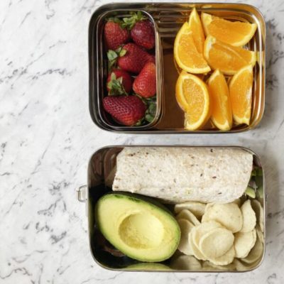 stainless steel lunchbox green essentials